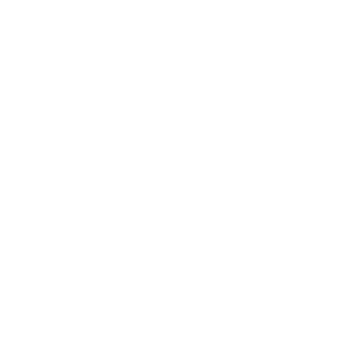 Skyin AI Logo